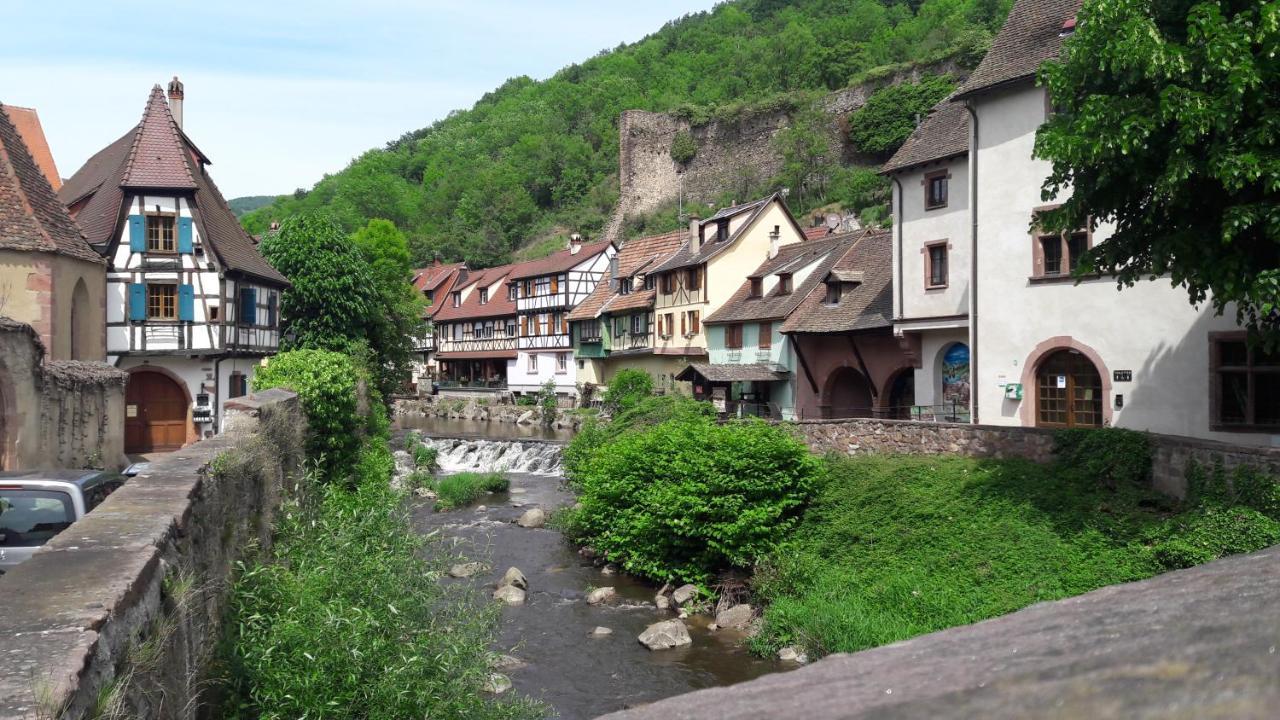 Gites Individuels A Kaysersberg Kültér fotó